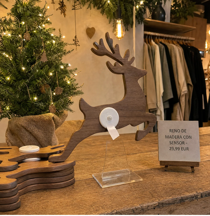 Wooden Reindeer Wall Set